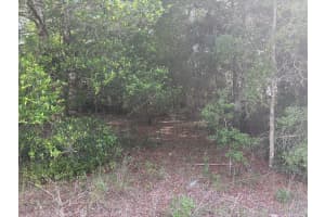 0 30th Place, Ocala, FL 34481 Sold 03/10/26