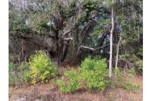 0 30th Place, Ocala, FL 34481 Sold 03/10/26