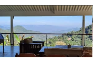 Colombia El Jazmin, Other Colombia El Jazmin, Other