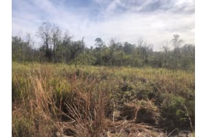 0 Polk City Road, Polk City, FL 33868 Sold 03/06/26