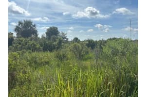 0 312th Street, Okeechobee, FL 34972 - MLS#F10527895