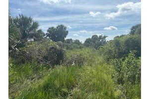 0 312th Street, Okeechobee, FL 34972 - MLS#F10527915