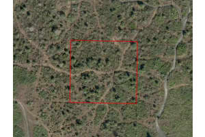 0 312th Street, Okeechobee, FL 34972 - MLS#F10527915