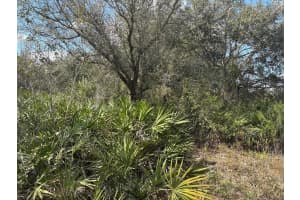 0 300th Street, Okeechobee, FL 34972 - MLS#F10528073