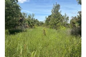 0 300th Street, Okeechobee, FL 34972 - MLS#F10528111