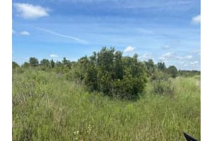 0 300th Street, Okeechobee, FL 34972 - MLS#F10528111