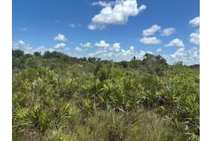 0 314th Street, Okeechobee, FL 34972 - MLS#F10528258