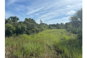 0 308th Street, Okeechobee, FL 34972 - MLS#F10528318