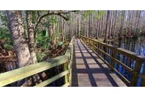 248 SUWANNER DR, Lake Placid, FL 33852 - MLS#F10529005