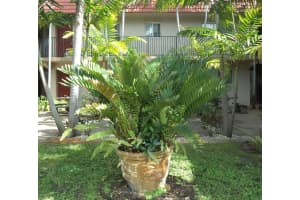 3050 NE 5th Ter 6, Wilton Manors, FL 33334 - MLS#F10529410