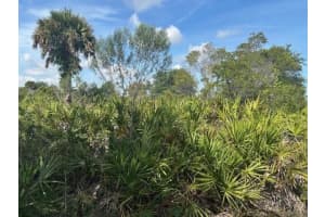 0 310th Street, Okeechobee, FL 34972 - MLS#F10529663