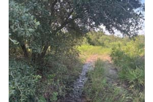 0 310th Street, Okeechobee, FL 34972 - MLS#F10529663