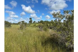 0 310th Street, Okeechobee, FL 34972 - MLS#F10529719