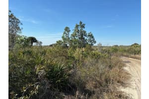 0 308th Street, Okeechobee, FL 34972 - MLS#F10529731