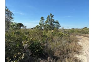 0 308th Street, Okeechobee, FL 34972 - MLS#F10529731