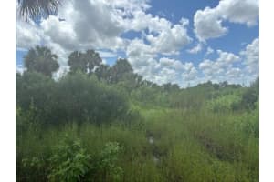 0 316th Street, Okeechobee, FL 34972 - MLS#F10529918