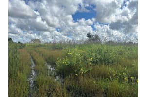 0 316th Street, Okeechobee, FL 34972 - MLS#F10529940