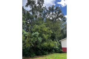 000 Silver Course Loop, Ocala, FL 34472 - MLS#F10530362