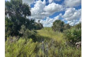 0 NW 308th St, Okeechobee, FL 34972 - MLS#F10530528