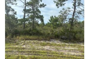 533 Boylston St, Lake Placid, FL 33852 - MLS#F10531998