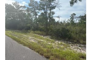 533 Boylston Street, Lake Placid, FL 33852 - MLS#F10531998