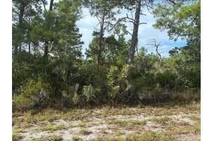 635 Boylston Street, Lake Placid, FL 33852 - MLS#F10532003