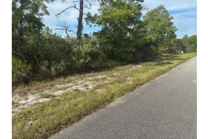 635 Boylston St, Lake Placid, FL 33852 - MLS#F10532003
