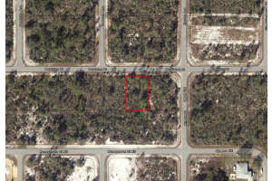 635 Boylston St, Lake Placid, FL 33852 - MLS#F10532003