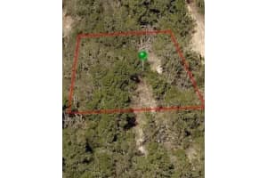 107 Cristy Avenue, Inverness, FL 34452 - MLS#F10532521