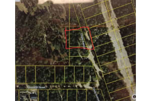 107 Cristy Avenue, Inverness, FL 34452 - MLS#F10532521