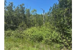 0 Sweet Hill Road, Polk City, FL 33868 - MLS#F10533755