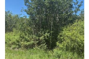 0 Sweet Hill Road, Polk City, FL 33868 - MLS#F10533755