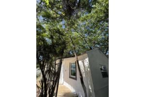 261 81st Street, Miami, FL 33150 - MLS#F10535045