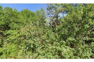 4702 Vera Avenue, Lehigh Acres, FL 33971 - MLS#F10535464