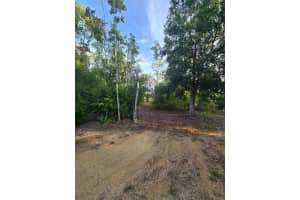 16431 254th Street, Okeechobee, FL 34972 Sold 03/11/26