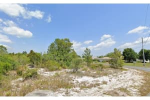 103-105 Vera Lane, Lake Placid, FL 33852 - MLS#F10535474