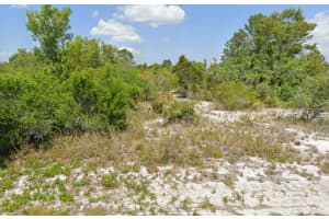 103-105 Vera Ln, Lake Placid, FL 33852 - MLS#F10535474