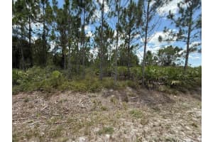 16483 NW 302nd St, Okeechobee, FL 34972 Sold 12/04/25