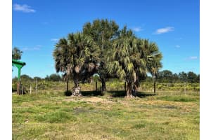 0 NW 240th, Okeechobee, FL 34972, Okeechobee, FL 34972 - MLS#F10536236