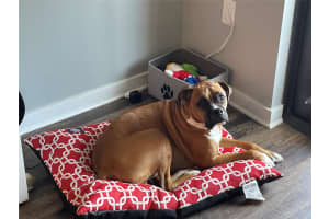 1436 2nd Avenue, Fort Lauderdale, FL 33304 - MLS#F10536305