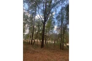 0 54th Street, Dunnellon, FL 34431 Sold 01/14/26