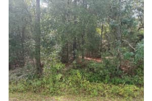 0 54th Street, Dunnellon, FL 34431 Sold 01/14/26