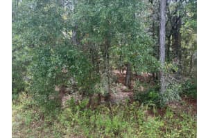 0 54th Street, Dunnellon, FL 34431 Sold 01/14/26