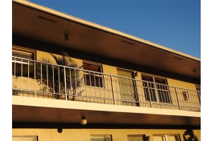 1600 NE 3RD AVE 2, Fort Lauderdale, FL 33305 - MLS#F10537206