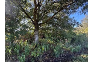 14928 260th Street, Okeechobee, FL 34972 Sold 03/03/26