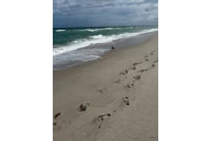 3140 S Ocean Dr 610, Hallandale Beach, FL 33009 - MLS#F10538512