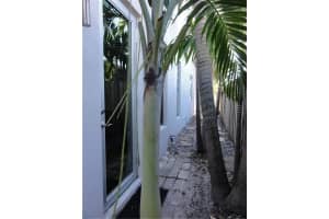 MLS# F10539199, Wilton Manors, Florida 33305