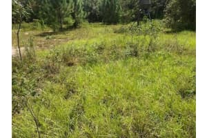 0 Old Grade Road, Polk City, FL 33868 Sold 02/26/26