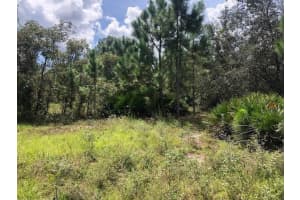 0 Old Grade Road, Polk City, FL 33868 Sold 02/26/26