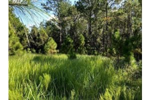 0 Old Grade Road, Fl 33868, Polk City